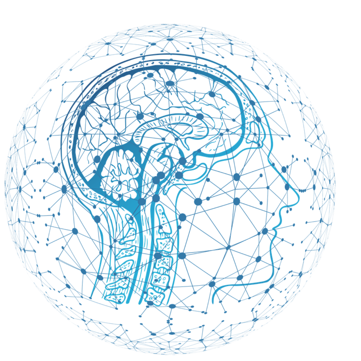 ML-person-Brain-3